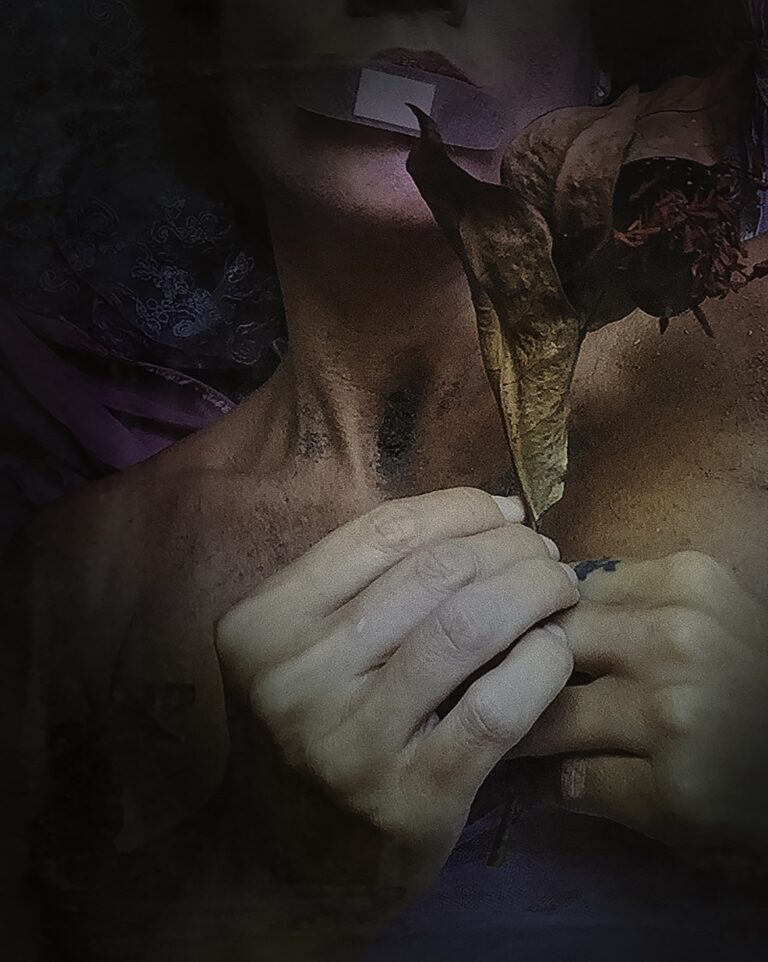 Curso: Viver o seu Desenho